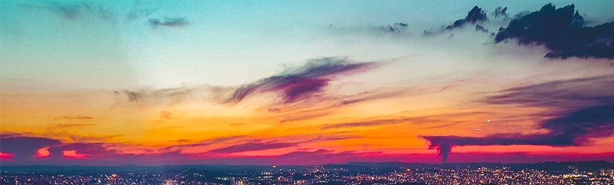 漳浦茶虫网_漳浦品茶